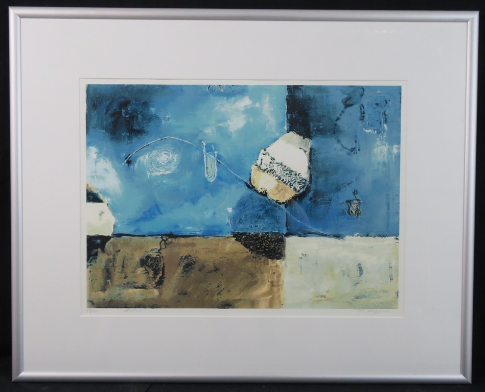 Toon Kuijpers: Zeefdruk, Fruition - Ingelijst kopen? Bied vanaf 40!