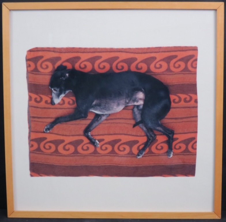 Maarten Wetsema: Foto op aluminiumplaat, Rik op kleed - Ingelijst kopen? Bied vanaf 1!