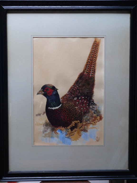 Pieter Dik, Gouache, Fazant kopen? Bied vanaf 575!