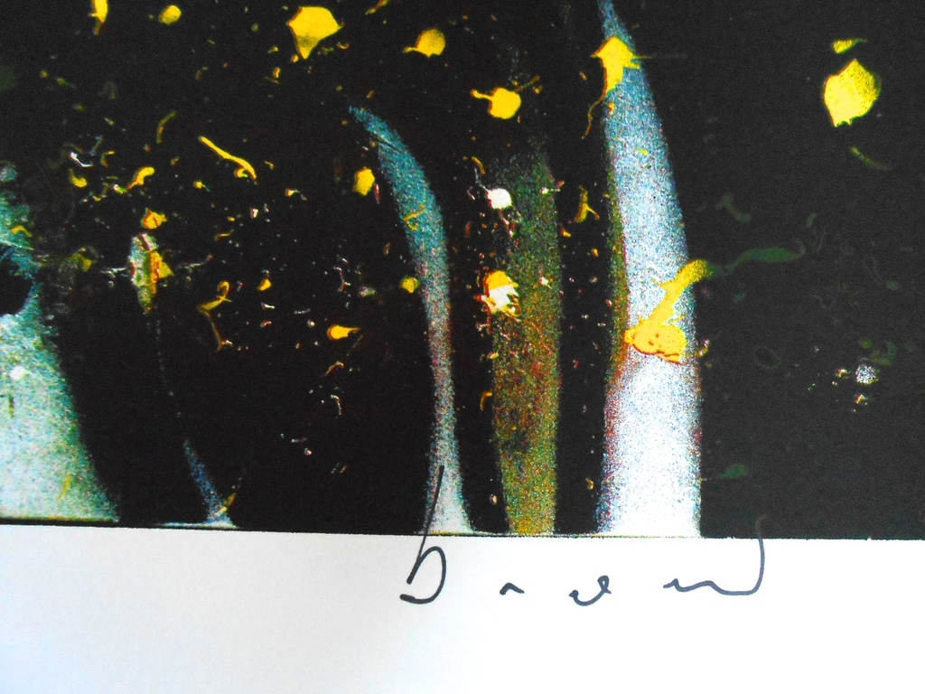 Herman Brood, zeefdruk Nightride.Oplage 175 stuks. kopen? Bied vanaf 1!