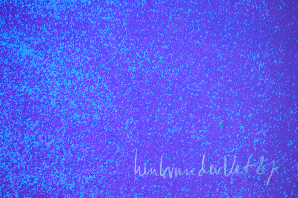 Henk van der Vet - Kleurenzeefdruk - De Hef - Brug in Rotterdam kopen? Bied vanaf 50!