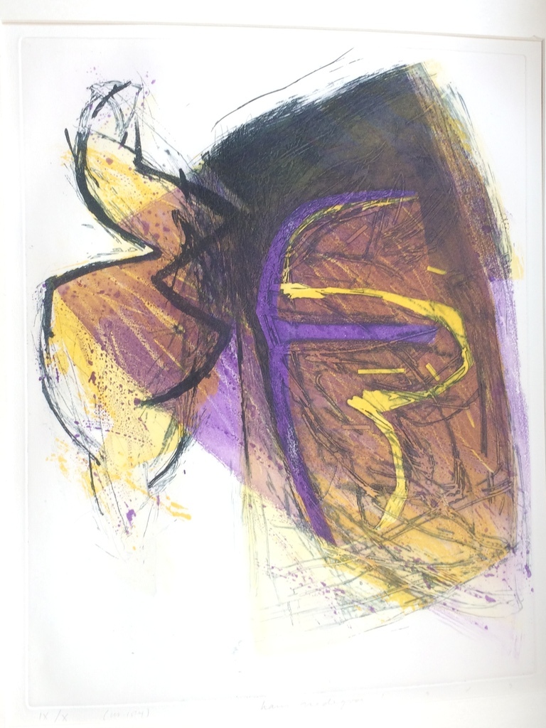 Hans Vredegoor, kleurenets in perfecte staat  IX/X uit 1989 verkocht voor € 65!