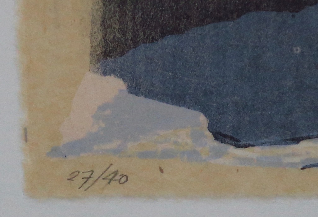 Jan Hein van Rooy: Litho, Waterval -Ingelijst kopen? Bied vanaf 20!