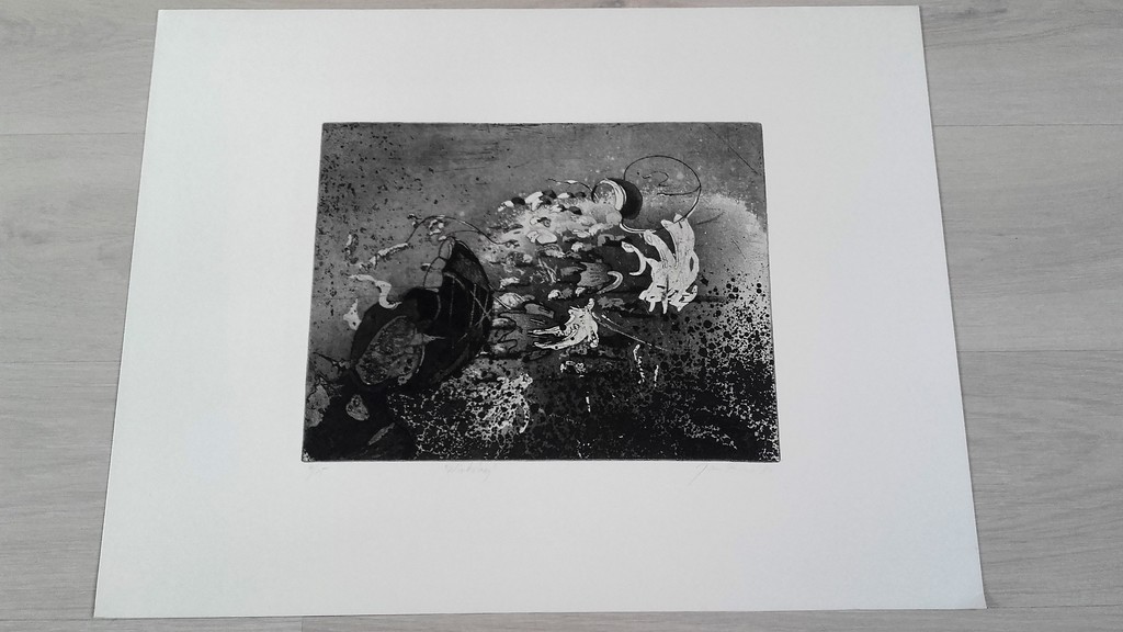 Jan Prins - Windvlaag - Gesigneerd 84 - Ets kopen? Bied vanaf 1!