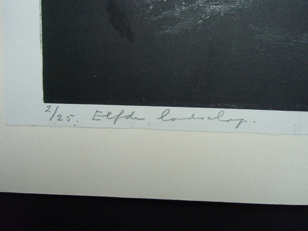 ELFDE LANDSCHAP   ///   LITHO VAN AART VAN DOBBENBURGH kopen? Bied vanaf 40!