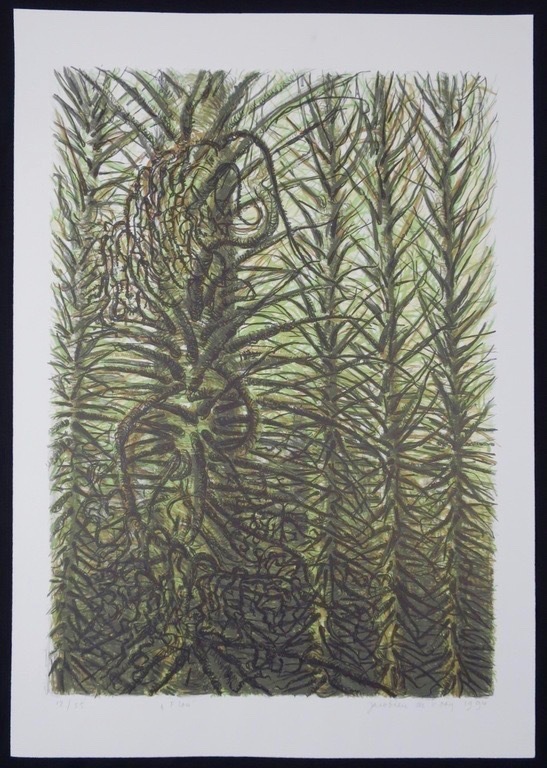 Jacobien de Rooij: Litho, Flou kopen? Bied vanaf 1!