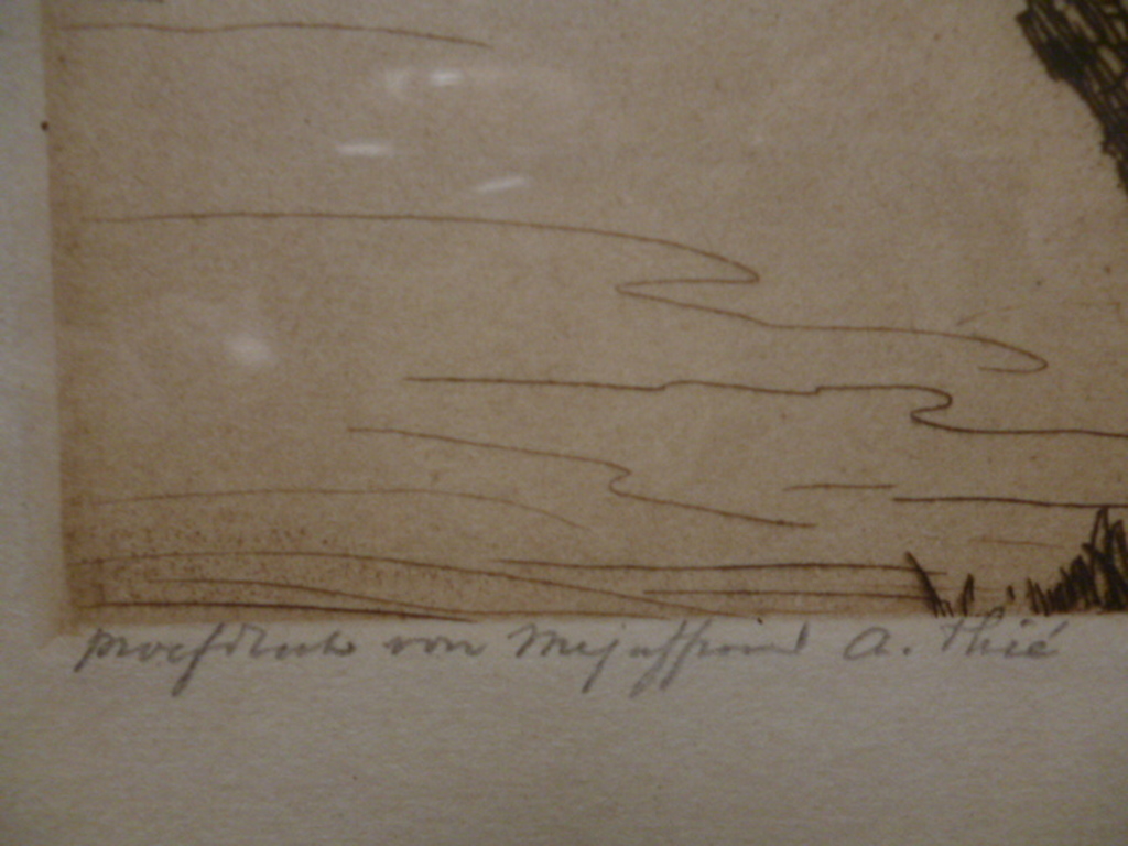 Dirk Harting - ets - Wilg kopen? Bied vanaf 25!