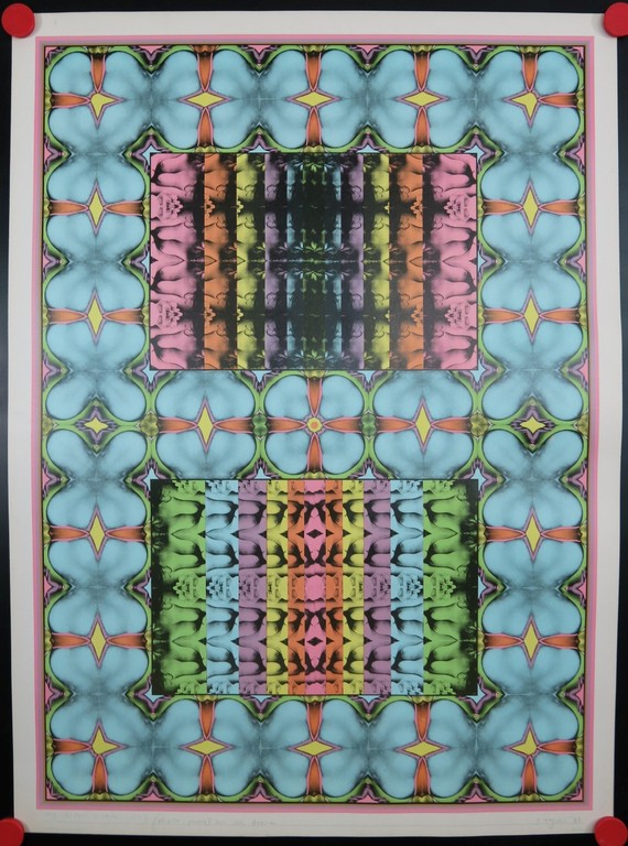 Shinkichi Tajiri: Offset, My Secret Garden No 1 kopen? Bied vanaf 70!