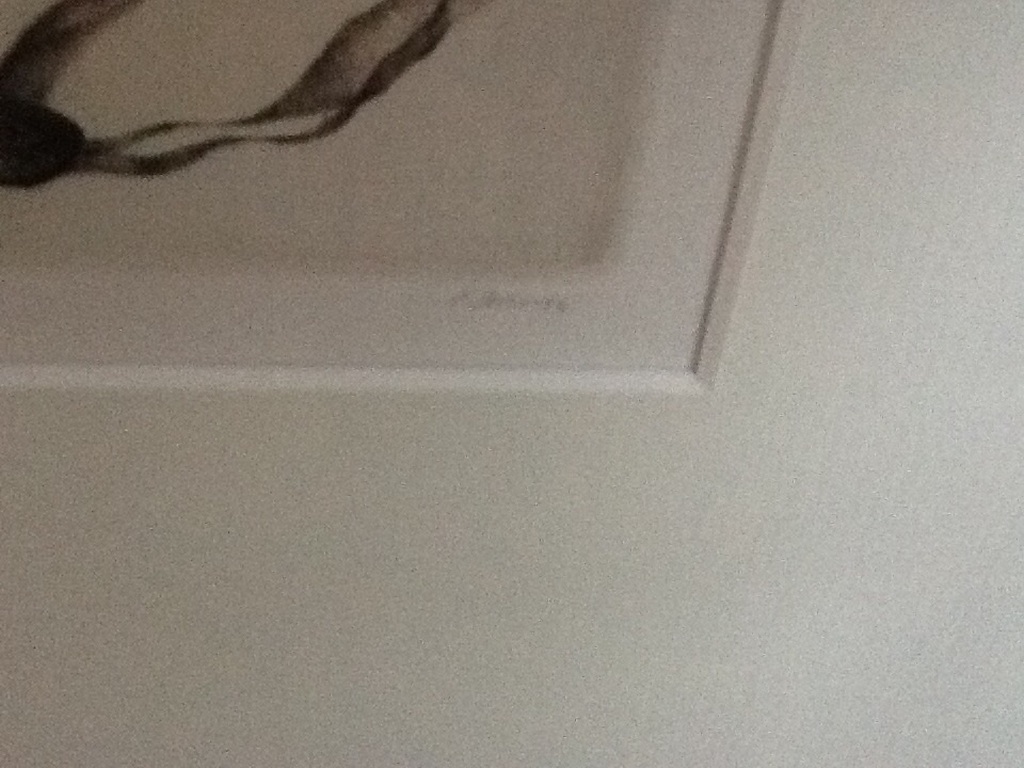 Lidmila Jirincova : Handgesigneerde litho ' Girl with two Butterflies ' kopen? Bied vanaf 20!