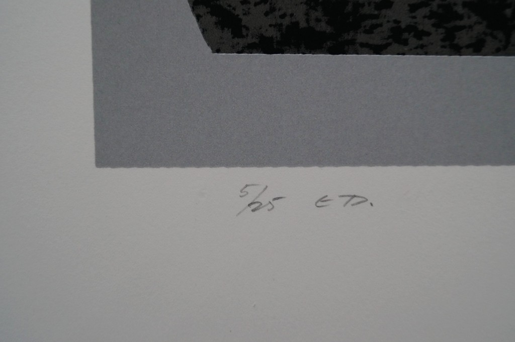 Nic Blans jr. - gesigneerde zeefdruk - 25 ex. kopen? Bied vanaf 1!
