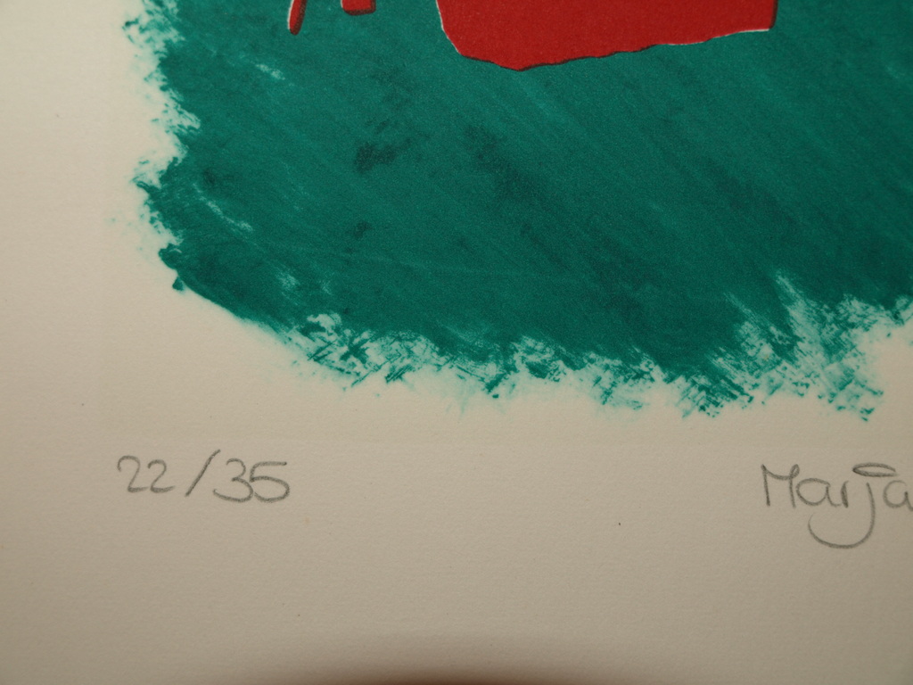 Marjan Davids – Zeefdruk – Kunstacademie MINERVA Groningen – 1994 kopen? Bied vanaf 1!