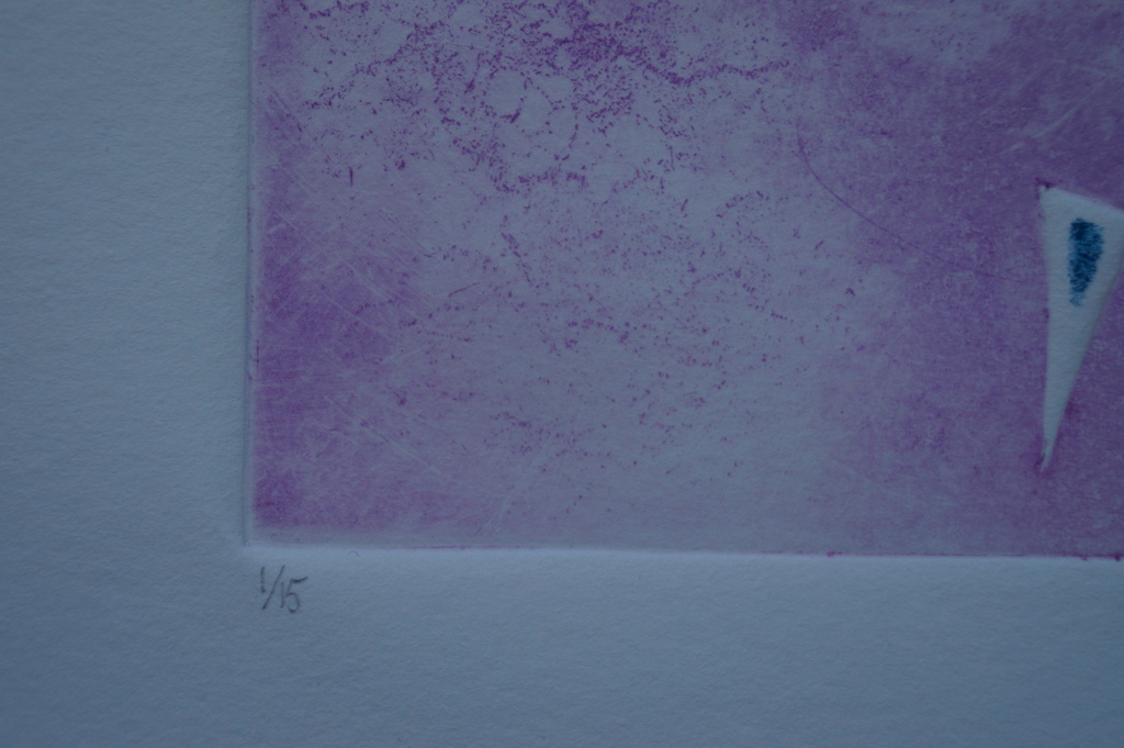 Onbekende kunstenaar - gesigneerde ets - 1996 kopen? Bied vanaf 10!