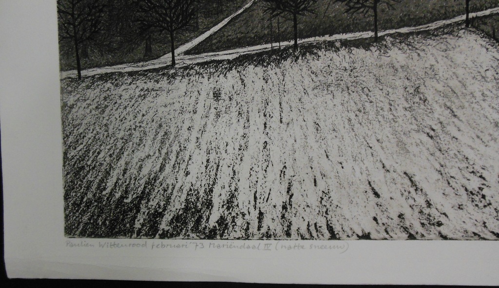 Paulien Wittenrood: Ets, Mariendaal IV (natte sneeuw) kopen? Bied vanaf 35!