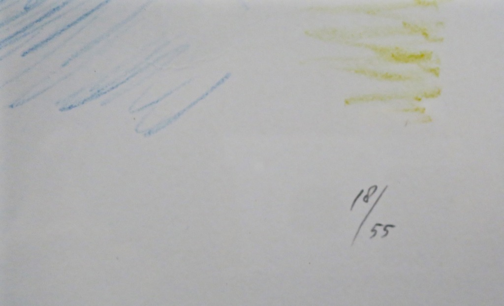 Jaap Hillenius: Litho, Z.T.  - Ingelijst kopen? Bied vanaf 20!