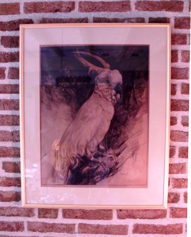 Kleuren litho A.J. va kopen? Bied vanaf 60!