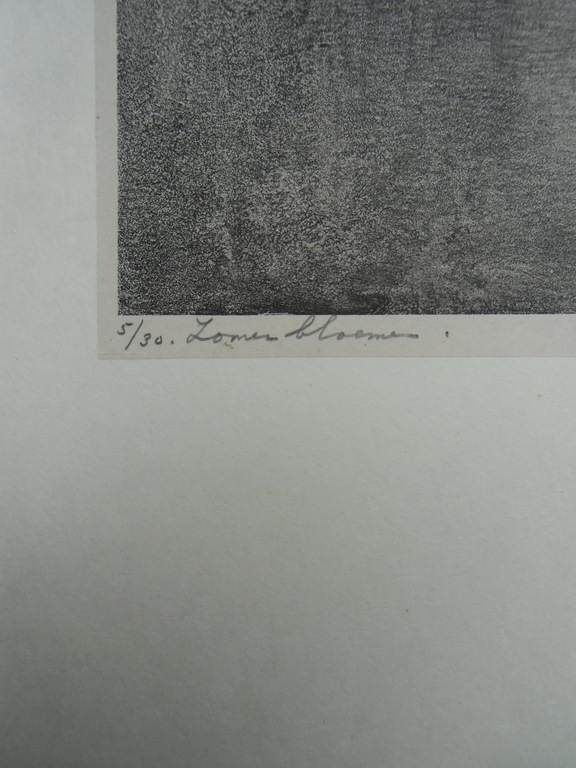 ZOMERBLOEMEN   ///   LITHO VAN AART VAN DOBBENBURG kopen? Bied vanaf 35!