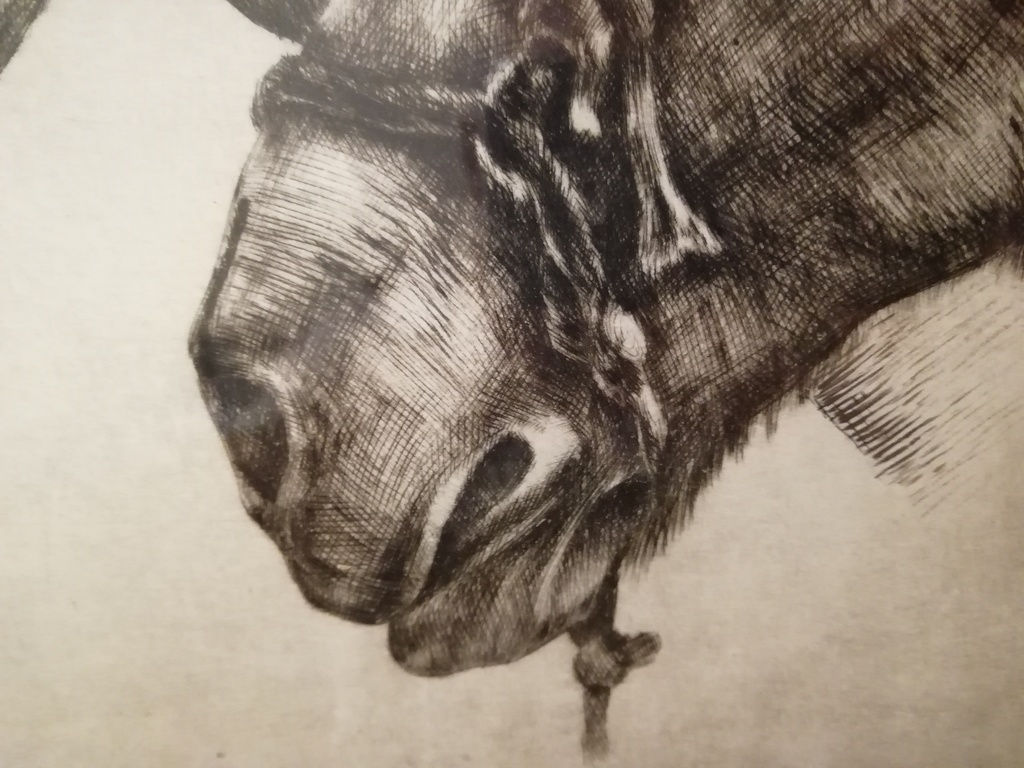 oude houtskool tekening - onbekend kunstenaar - paarden hoofden  kopen? Bied vanaf 20!
