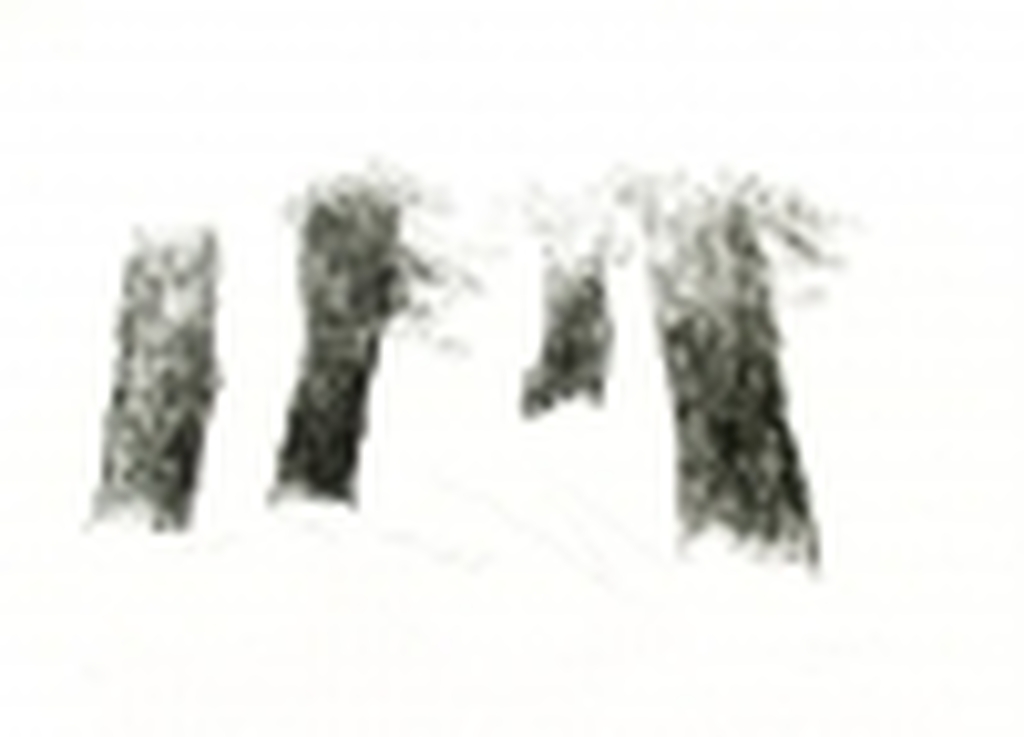 Armando : Litho  verkocht voor € 275!