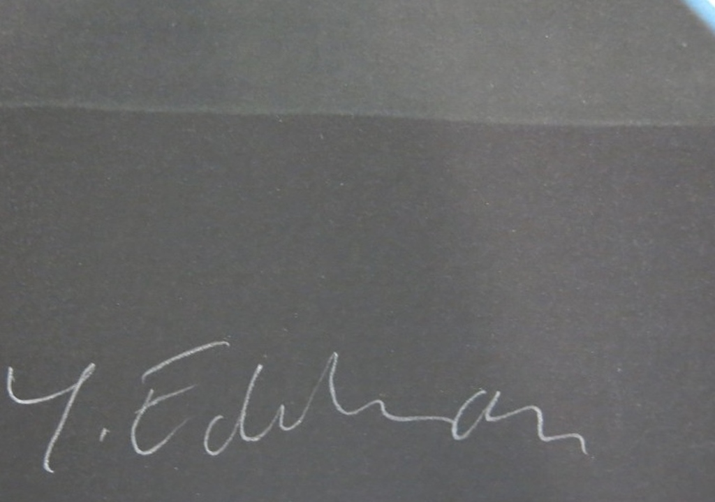 Yrjo Edelmann: Giclee, The visual Pathway to Green kopen? Bied vanaf 80!