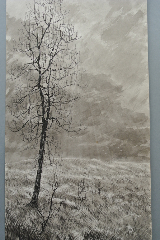 TOM ANEMA. Mooie Aquarel  “Herfst in Nederland VI”  Handgesigneerd kopen? Bied vanaf 9!