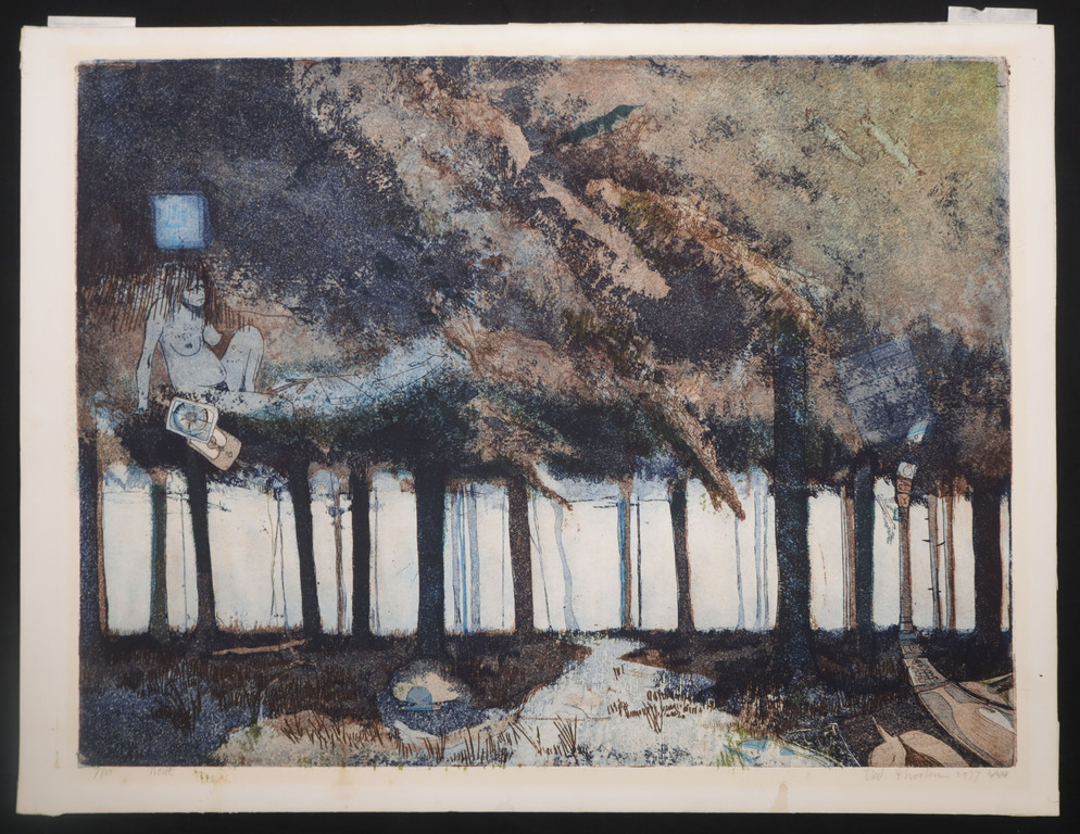 Fred Thoolen: Ets en aquatint, Zonder titel kopen? Bied vanaf 1!