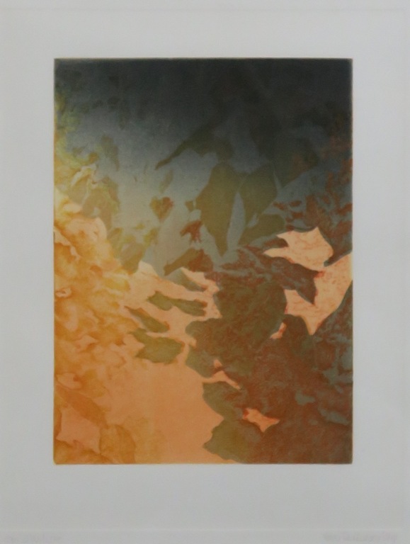 Nono Reinhold: Ets, Memoire D'été - Ingelijst kopen? Bied vanaf 50!