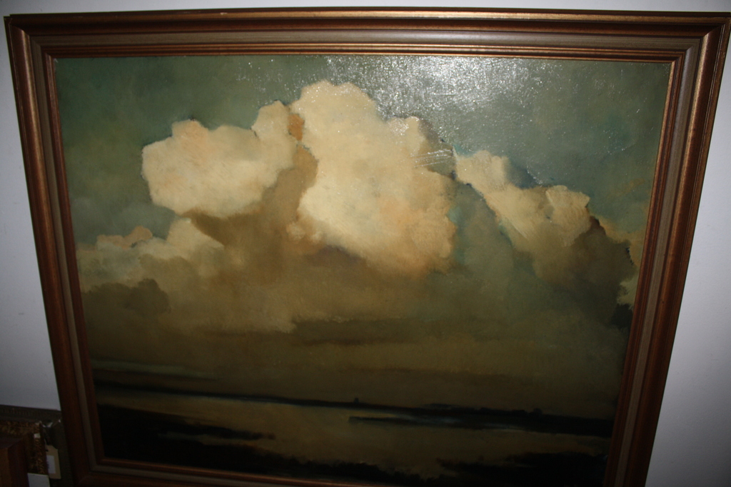 PLASGEZICHT IN DE SCHEMER VAN JOS ROVERS kopen? Bied vanaf 299!