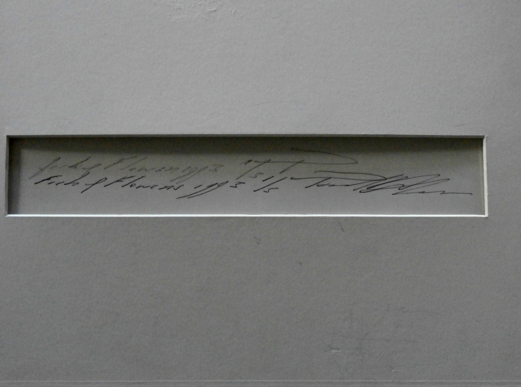 Paul Blanca - ingelijste foto: Fish and Flowers - 1993 - oplage 5 stuks kopen? Bied vanaf 160!