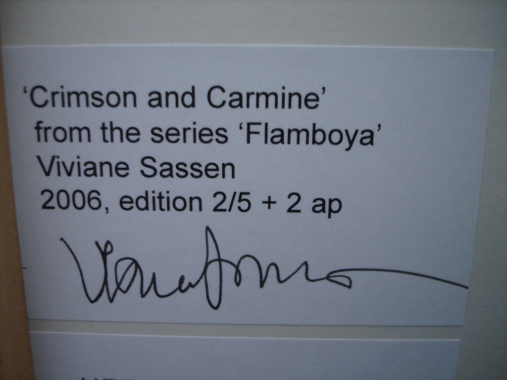 Viviane Sassen fotoprint 'Crimson & Carmine' Prix de Rome kopen? Bied vanaf 2499!