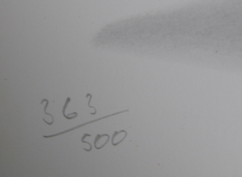 Jeroen Henneman: Zeefdruk, genummerd en met potlood gesigneerd kopen? Bied vanaf 85!