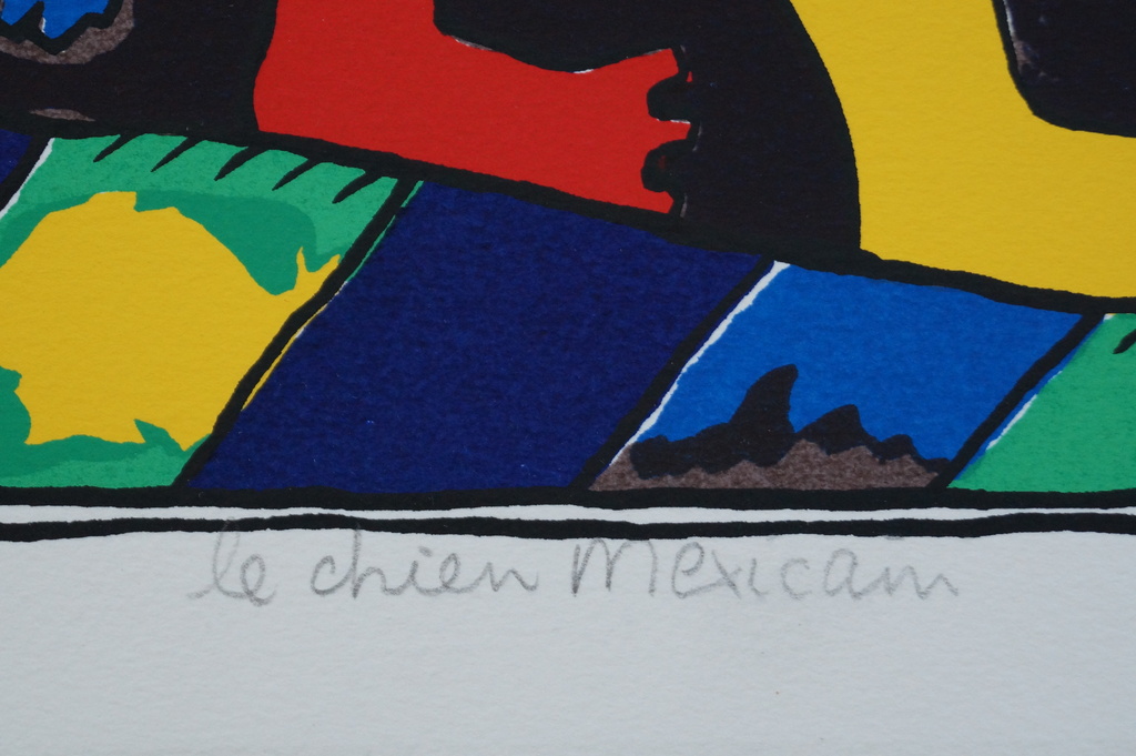 Cecile de Bruijn - le chien Mexicain - 1993 kopen? Bied vanaf 20!
