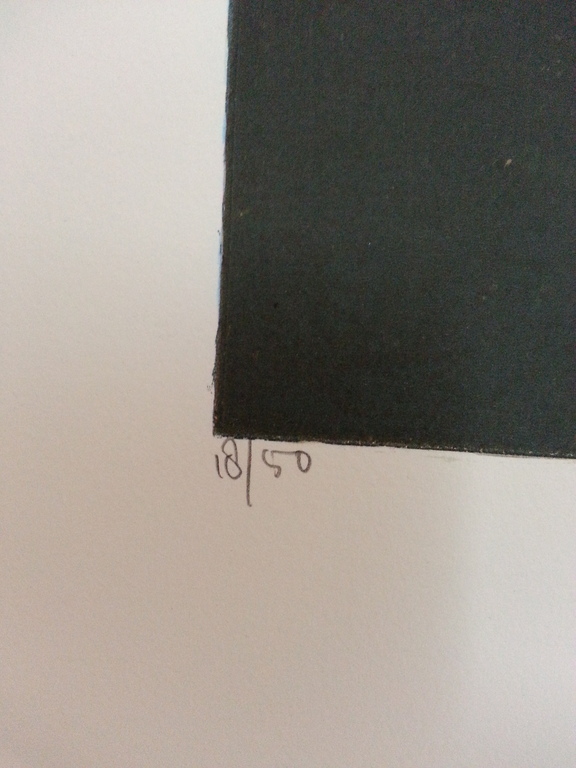 Ron van de Werf, zeefdruk op papier, "Terra I" kopen? Bied vanaf 50!