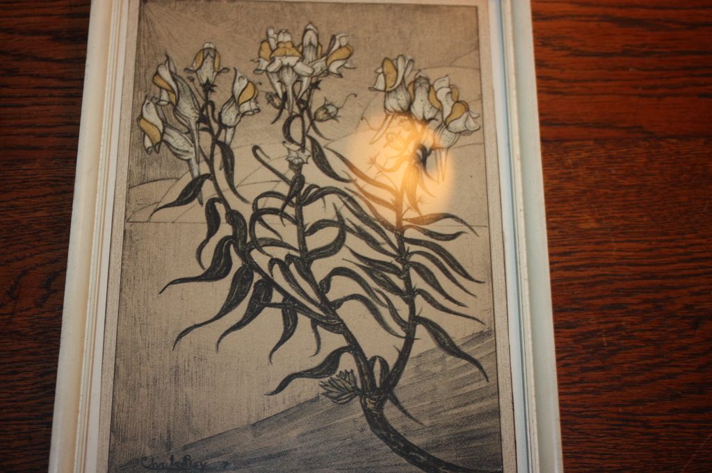 Leeuwenbekje Litho handdruk 1923 verkocht voor € 70!