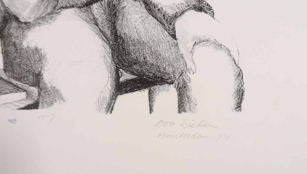 Coos Dieters: Litho, Zwemmer in onweer kopen? Bied vanaf 1!