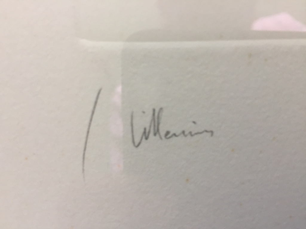 Jaap Hillenius ( 1934 - 1999 ) Zonlicht uit 1999 kopen? Bied vanaf 50!