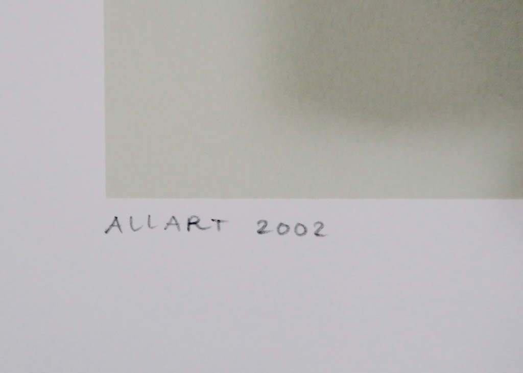 Jeroen Allart: Zeefdruk, Pinguins kopen? Bied vanaf 1!