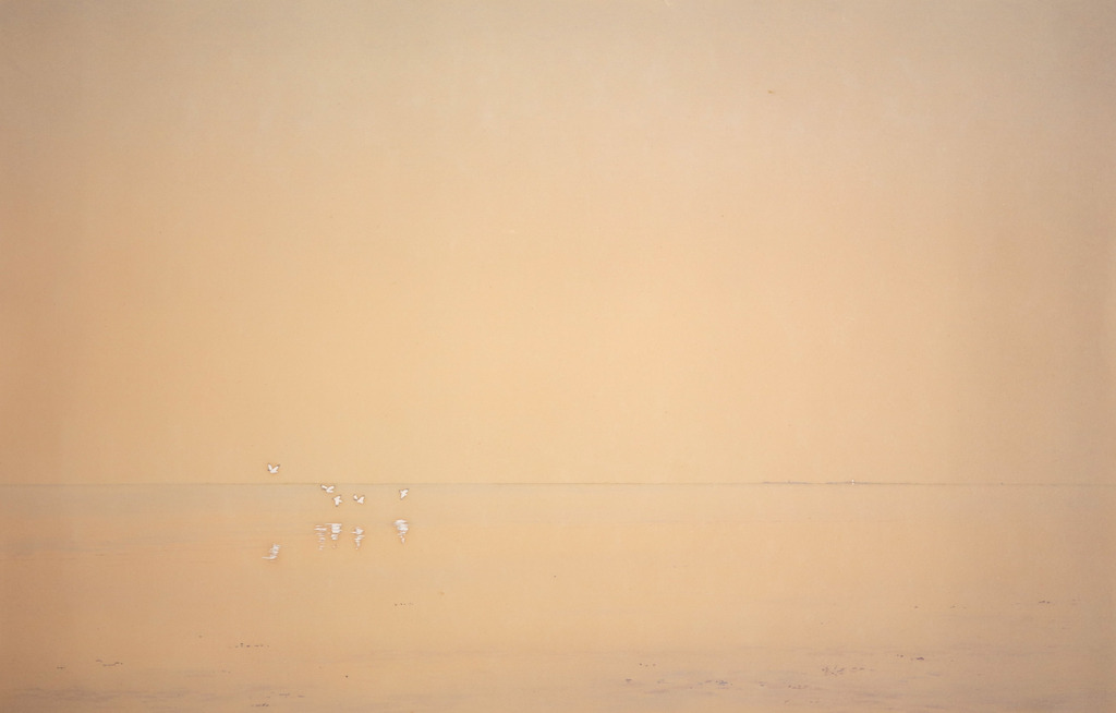 Fred Landsman: Aquarel, Schiermonnikoog met bergeenden kopen? Bied vanaf 20!