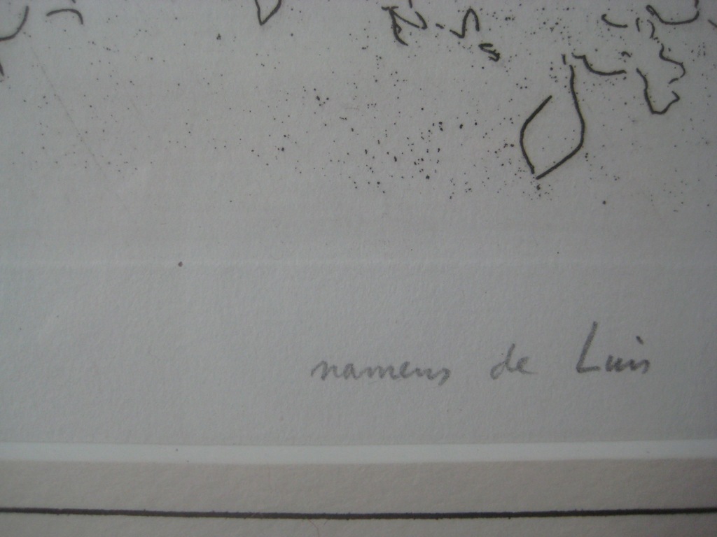 Jaap Hillenius: Ets: namens de luis 'goodbye to all that' kopen? Bied vanaf 25!