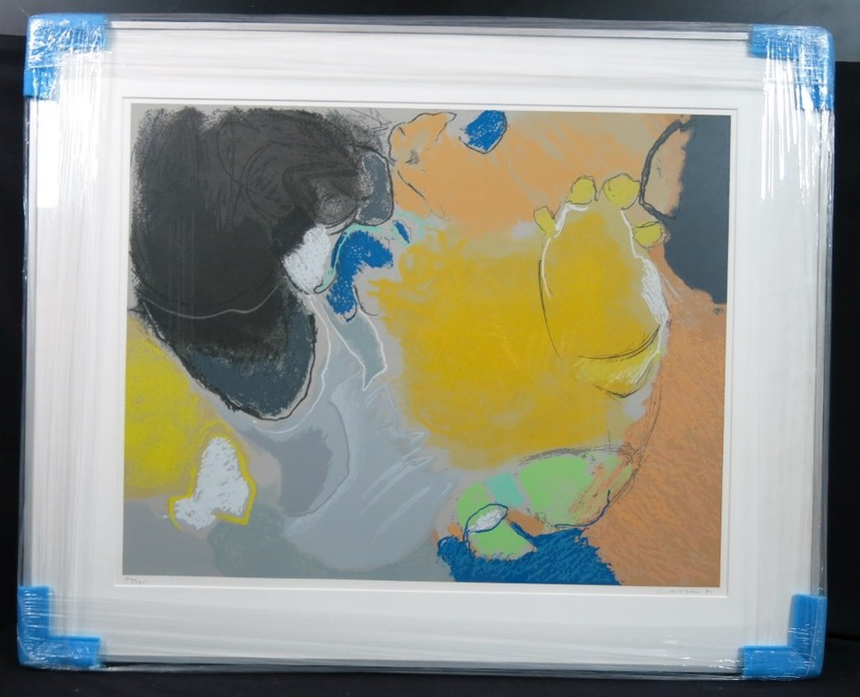 Henk van Vessem: Zeefdruk, Zonder titel - Ingelijst (groot) kopen? Bied vanaf 35!