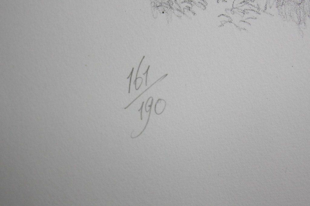 Peter Vos grote litho uit 1969. kopen? Bied vanaf 70!