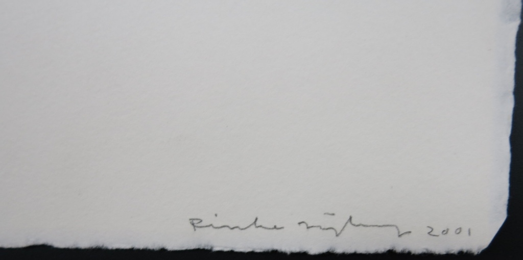 Rinke Nijburg: Ets en litho, The Dawn kopen? Bied vanaf 1!