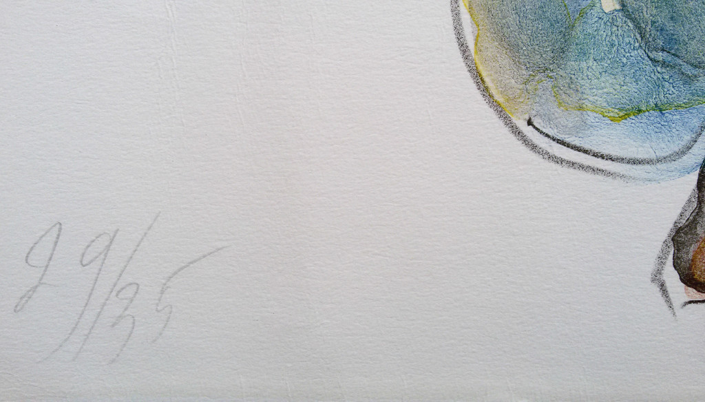 Jan Sierhuis - Flamenco, litho kopen? Bied vanaf 30!