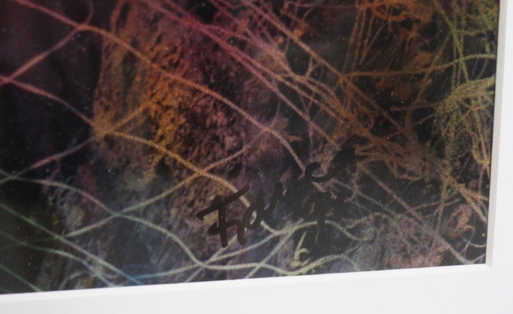 Franca Muller Jabusch: Foto, Mysterieuze vrouw - Ingelijst kopen? Bied vanaf 35!