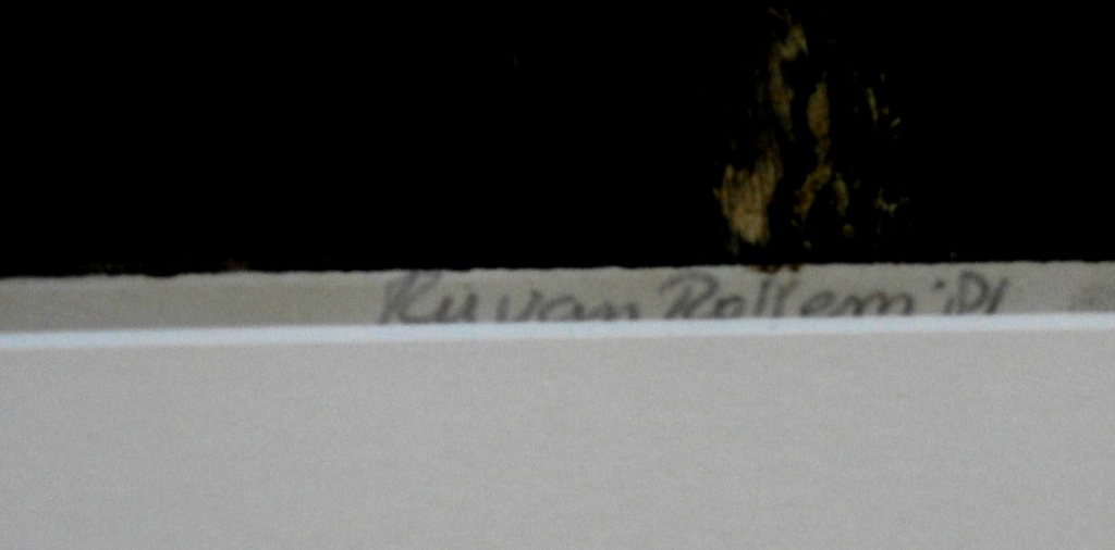 Ru van Rossem - ingelijste ets: Versteend leven - 1981 kopen? Bied vanaf 150!