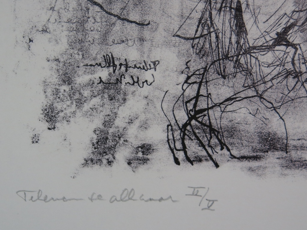 Dirkje Kuik: Litho, Tekenen te Alkmaar kopen? Bied vanaf 50!