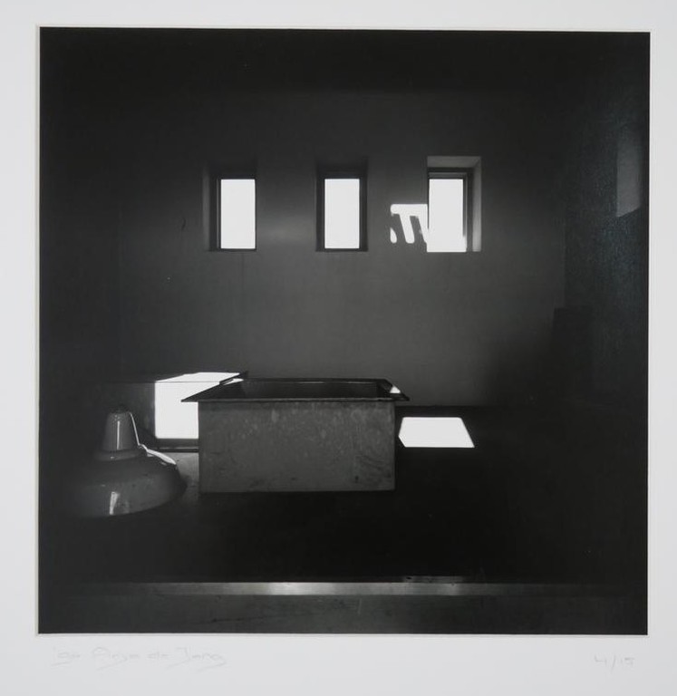 Anja de Jong: Foto, Kootwijk verkocht voor € 50!