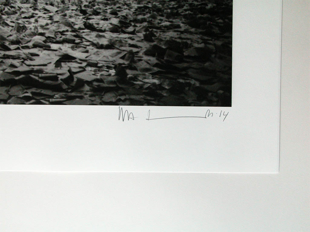 HA Schult, ‘Venezia vivere’, giclée, handgesigneerd, ed. 50, 2014 kopen? Bied vanaf 59!