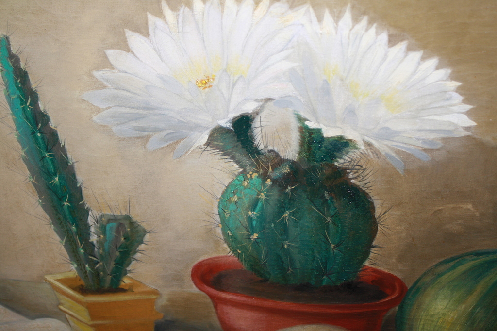 JAN SCHONK - CACTUSSEN en CALEBAS kopen? Bied vanaf 125!