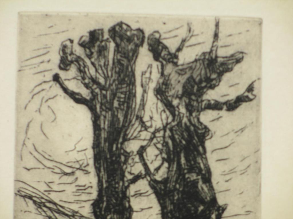 Floris Verster, Kastanjebomen, Ets 1890 kopen? Bied vanaf 80!