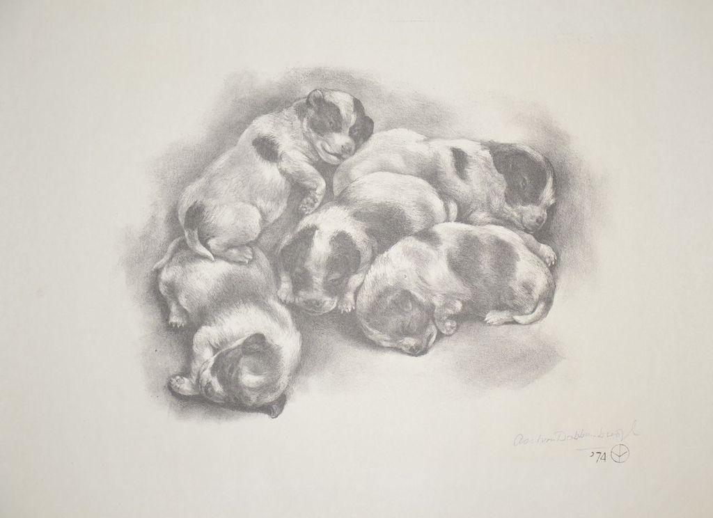 Aart van Dobbenburgh: Litho. Vijf puppy's verkocht voor € 40!
